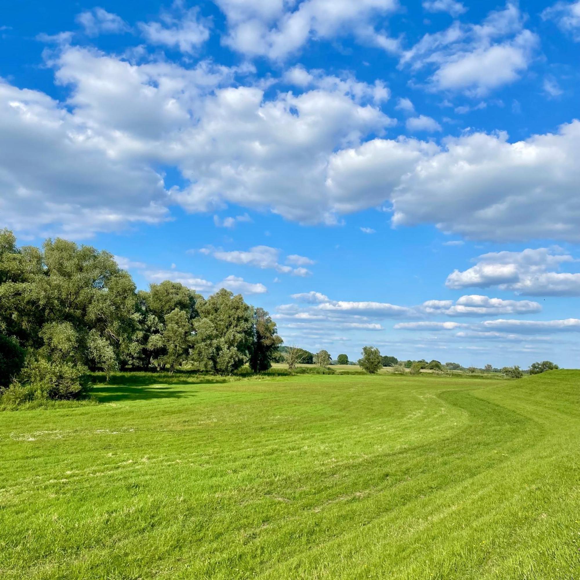 Вилла 208-Tiny House An Der Elbe Mit Blick Ins Gruene Блеккеде Экстерьер фото